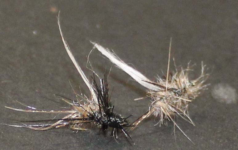 Amber dubbing tied onto a hook for a small may fly imitation.